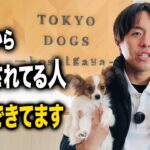 【犬しつけ】愛犬に信頼されている人の特徴3選【ドッグトレーナー解説】