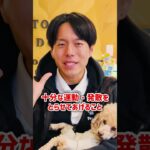 犬の吠えぐせを速攻止める！3選