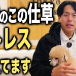 この仕草注意！愛犬のストレスの見分け方と対処法3選【ドッグトレーナー解説】