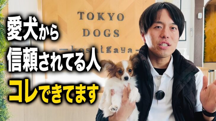 【犬しつけ】愛犬に信頼されている人の特徴3選【ドッグトレーナー解説】