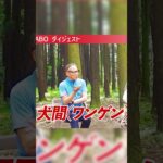 【犬のしつけ徹底解説4】みんなが間違えるしつけ方法を熊本阿蘇のドッグトレーナーがズバッと解説‼ #散歩 #癒し #自然 #愛犬