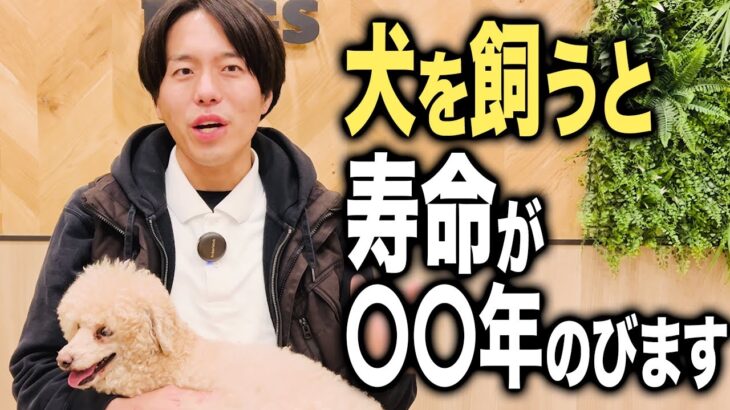 【犬しつけ】愛犬はあてはまる？犬を飼うと健康寿命がのびる理由4選【トレーニング】