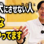 【犬しつけ】愛犬が”問題犬”にならない人の特徴5選【ドッグトレーナー解説】