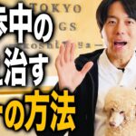 【犬しつけ】散歩で吠え癖が付きやすい人の特徴5選【トレーニング】