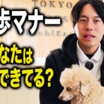 【犬しつけ】お散歩で絶対に知ってほしいマナー5選【ドッグトレーナー解説】