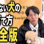 噛まない犬を育てるしつけ法5選【ドッグトレーナー解説】