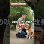 【しつけ】犬の吠えグセ改善法8選 〜物音対策から心理分析まで〜part01「吠える理由を理解する」 #Shorts #AI獣医師 #犬 #ノア動物病院  #林文明