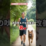 【しつけ】犬の吠えグセ改善法8選 〜物音対策から心理分析まで〜part05「運動不足の解消」 #Shorts #AI獣医師 #犬 #ノア動物病院  #林文明