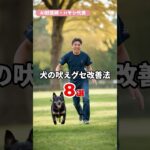 【しつけ】犬の吠えグセ改善法8選 〜物音対策から心理分析まで〜part08「まとめ」 #Shorts #AI獣医師 #犬 #ノア動物病院  #林文明