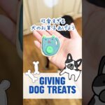 犬に可愛い犬用クッキーをあげたよ！I gave my dogs cute dog cookies 【3児シンママのアメリカと日本生活】 #dog #doglife #doglover