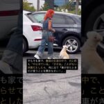 犬のしつけ　ドッグトレーニング　ドッグトレーナー　飼い主の教育　＃Shorts