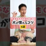 いろいろ少しずつでも慣れるとストレス少なくなるよ#犬のしつけ #犬のいる暮らし #dog