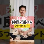 犬たちが仲良くなるための『飼い主が守るべきルール』とは？#犬のいる暮らし #犬のしつけ #dog