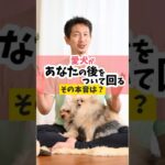 あなたの愛犬はストーカー？それとも、いい感じくらい？#犬のしつけ #犬のいる暮らし #dog