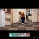 【犬の幼稚園】小春ちゃんの様子#豊田駅 #犬のしつけ #ドッグスクール #犬の幼稚園#犬のトレーニング #動物看護師兼トレーナー #犬好き  #ペットホテル #パピークラス