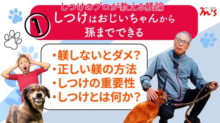 【犬のしつけ徹底解説】みんなが間違えるしつけ方法を熊本阿蘇のドッグトレーナーがズバッと解説‼