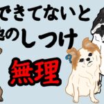 覚えさせないと後が大変！#犬の雑学#犬のしつけ #犬