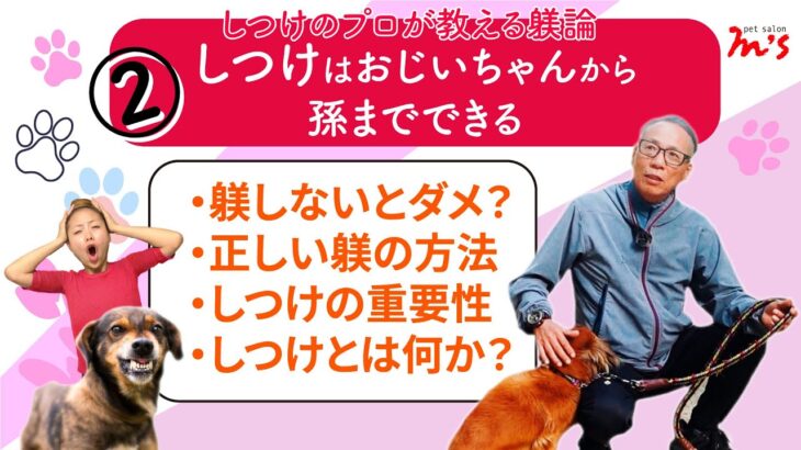 【犬のしつけ徹底解説２】みんなが間違えるしつけ方法を熊本阿蘇のドッグトレーナーがズバッと解説‼【後編】