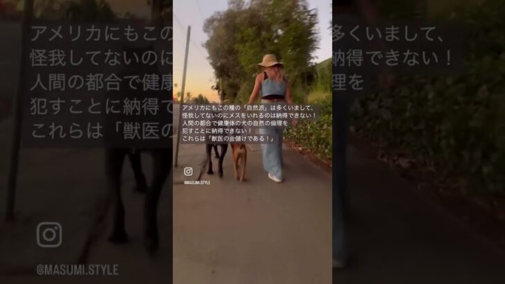 ドッグトレーニング　犬のしつけ　ドッグトレーニング　飼い主の教育