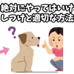 犬に絶対にやってはいけないしつけと適切な方法#犬#雑学