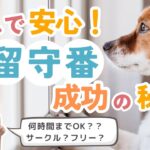 【犬のしつけ】お留守番完全マニュアル！長時間でも安心な方法とは？