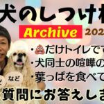 犬のしつけ相談ライブ☆ゲリラライブ【アーカイブ 2024/12/16】