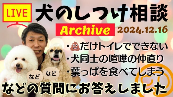 犬のしつけ相談ライブ☆ゲリラライブ【アーカイブ 2024/12/16】