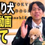 ビビり犬必見！社会化慣らししつけ法5選【ドッグトレーナー解説】