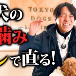 子犬の甘噛みを劇的に改善するしつけ法5選！プロドッグトレーナー解説