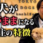 愛犬が言うことを聞かなくなる飼い主の特徴5選