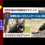 犬の攻撃行動の治し方　本人による解説 ：DOGGY STATION Vol.＊＊＊/犬のしつけ・問題行動・犬の心理学・犬の行動学・ドッグビヘイビアリスト