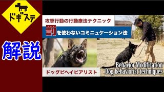 犬の攻撃行動の治し方　本人による解説 ：DOGGY STATION Vol.＊＊＊/犬のしつけ・問題行動・犬の心理学・犬の行動学・ドッグビヘイビアリスト