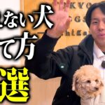 吠えない犬を育てる基本ルールTOP5