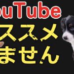 大事な子犬のしつけをYouTubeで学んでいませんか？