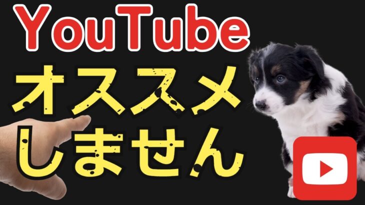 大事な子犬のしつけをYouTubeで学んでいませんか？