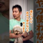 興奮しやすくて、お散歩うまくできません#犬のしつけ #dog #犬のいる暮らし