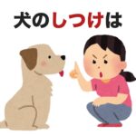 犬のしつけは【犬に関する面白い雑学】その３