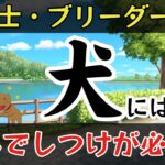 「犬」にはなんでしつけが必要？【ゆっくり解説】