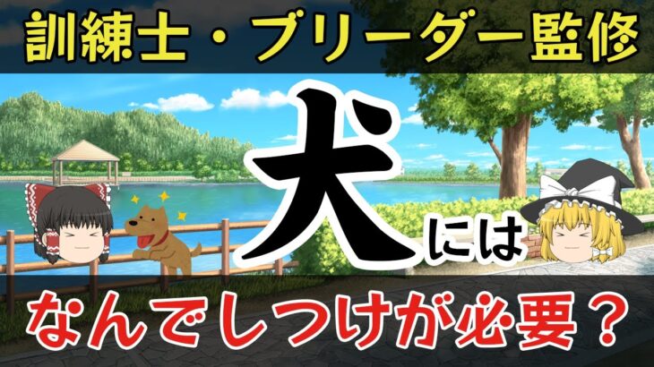 「犬」にはなんでしつけが必要？【ゆっくり解説】