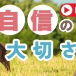 【犬のしつけ】自信があれば〈吠える〉など困ったことがなくなる⁉️【犬の気持ち】