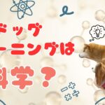 トレーニングは科学？？