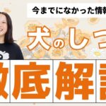 【悩みゼロ】これ一本で犬のしつけに必要な大枠が全て分かります！