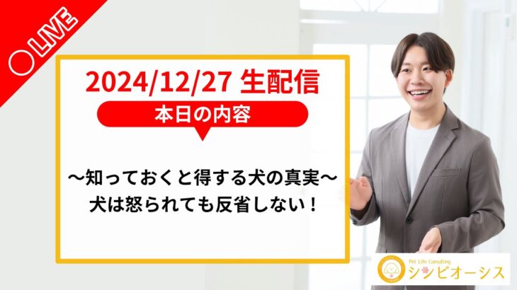 【生配信】知っておくと得する犬の真実～犬は怒られても反省しない！～