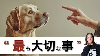 【知っておきたい】犬のしつけで最も大切なこと