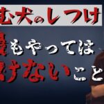 【危険】嚙む犬に最もやってはいけないしつけ