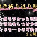 メンタリズム年内最後の生配信式犬のしつけ教室 がライブ配信中！