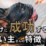 【いくつ当てはまる？】犬のしつけに成功する飼い主さんの特徴