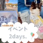 犬との絆を試す！ペットイベントのしつけ認定試験でまさかの結果が…！