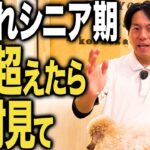 シニア期の愛犬との接し方はコレだ！３歳を超えたら絶対に見て！