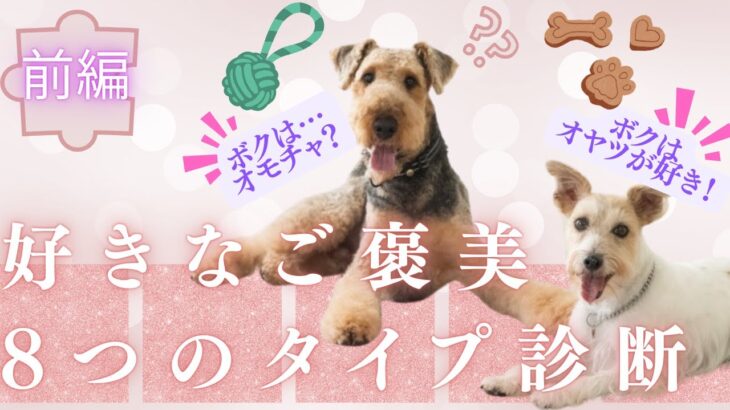 あなたの愛犬は何タイプ？【前編】犬の性格診断！鉱物から判断出来る！